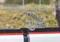 Preview: Märklin 39812 Giruno RABe 501 022 SBB
