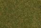 Preview: Faller 170209 Streufasern Wildgras, braungrün, 4 mm, 30 g