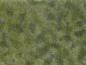 Preview: Noch 07250 Bodendecker-Foliage mittelgrün