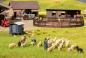 Preview: Noch 15751 H0 Schafe scheren