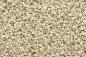 Preview: Woodland WC1270 Fine Buff Talus