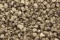 Preview: Woodland WC1275 Medium Brown Talus