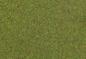 Preview: Faller 171621 Streufasern, grasgrün, 130 g
