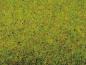 Preview: Noch 00280 Grasmatte “Sommerwiese” 120 x 60 cm