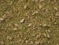 Preview: Noch 07075 Grasmischung “Almwiese” 2,5 bis 6 mm, 50 g