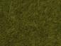 Preview: Noch 07100 Wildgras “Wiese” 6 mm, 50 g