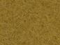Preview: Noch 07111 Wildgras XL beige, 12 mm, 40 g