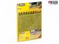 Preview: Noch 07420 Natur+ “Rapsfeld”