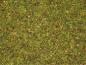 Preview: Noch 08155 Streugras “Blumenwiese” 2,5 mm, 120 g