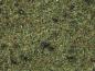 Preview: Noch 08157 Streugras “Waldboden” 2,5 mm, 120 g