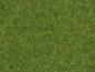 Preview: Noch 08214 Streugras “Zierrasen” 1,5 mm, 20 g