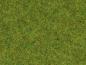 Preview: Noch 08300 Streugras “Frühlingswiese” 2,5 mm, 20 g