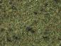 Preview: Noch 08350 Streugras “Waldboden” 2,5 mm, 20 g