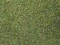 Preview: Noch 08370 Streumaterial “Blumenwiese” 200 g