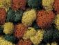Preview: Noch 08620 Dekormoos herbstlich, 75 g