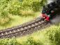 Preview: Noch 09367 H0,TT PROFI-Schotter “Gneis” rotbraun, 250 g