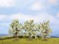 Preview: Noch 25111 Obstbäume weiß blühend, 3 Stück, 8 cm hoch