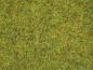 Preview: Noch 50190  Streugras “Sommerwiese” 2,5 mm, 100 g
