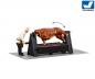 Preview: Viessmann 1552 H0 Grill m. dreh. Ochsen