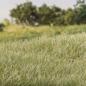 Preview: Woodland WFS623 7mm Static Grass Light Green
