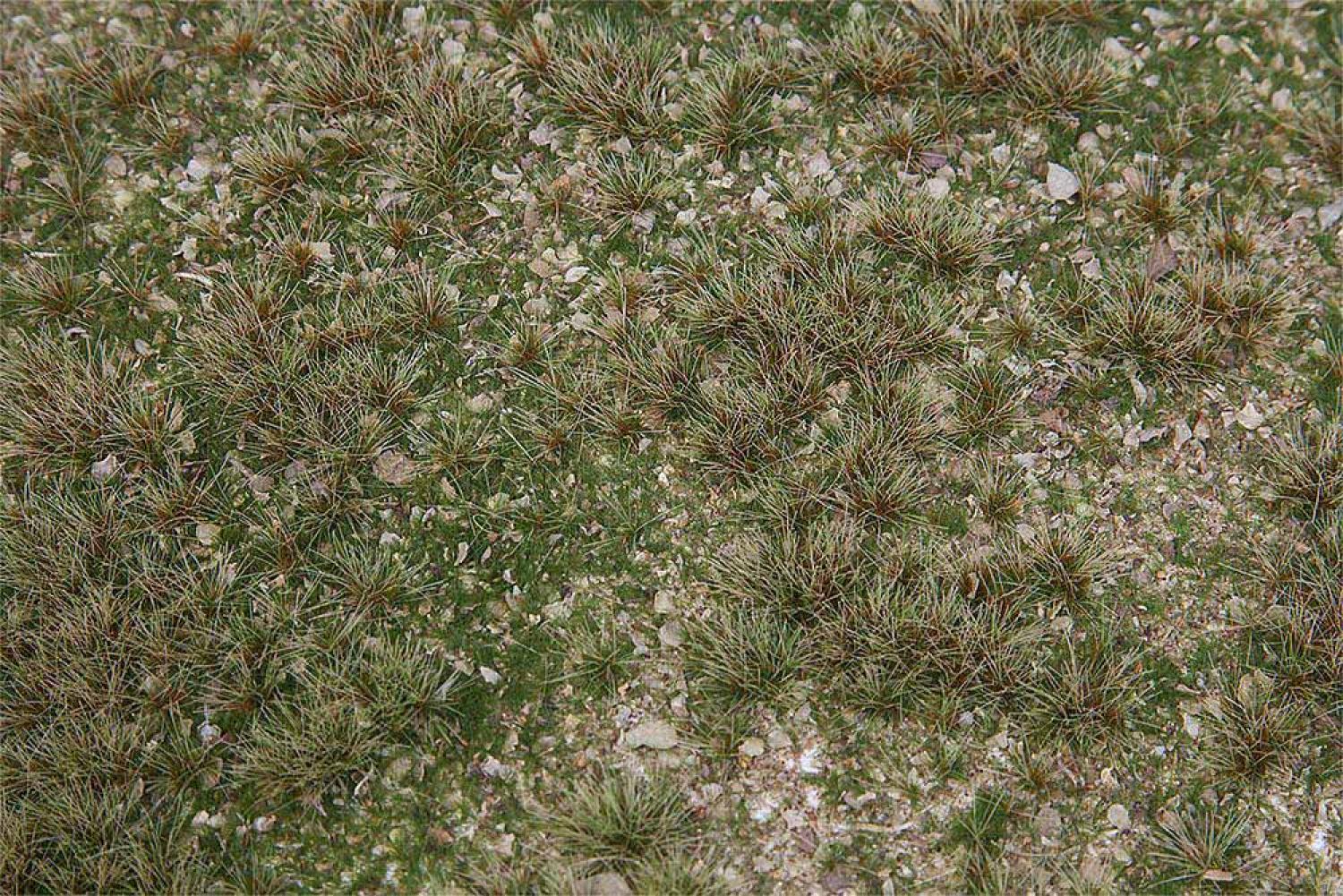 Faller 180479 Landschafts-Segment Wildkräuterwiese