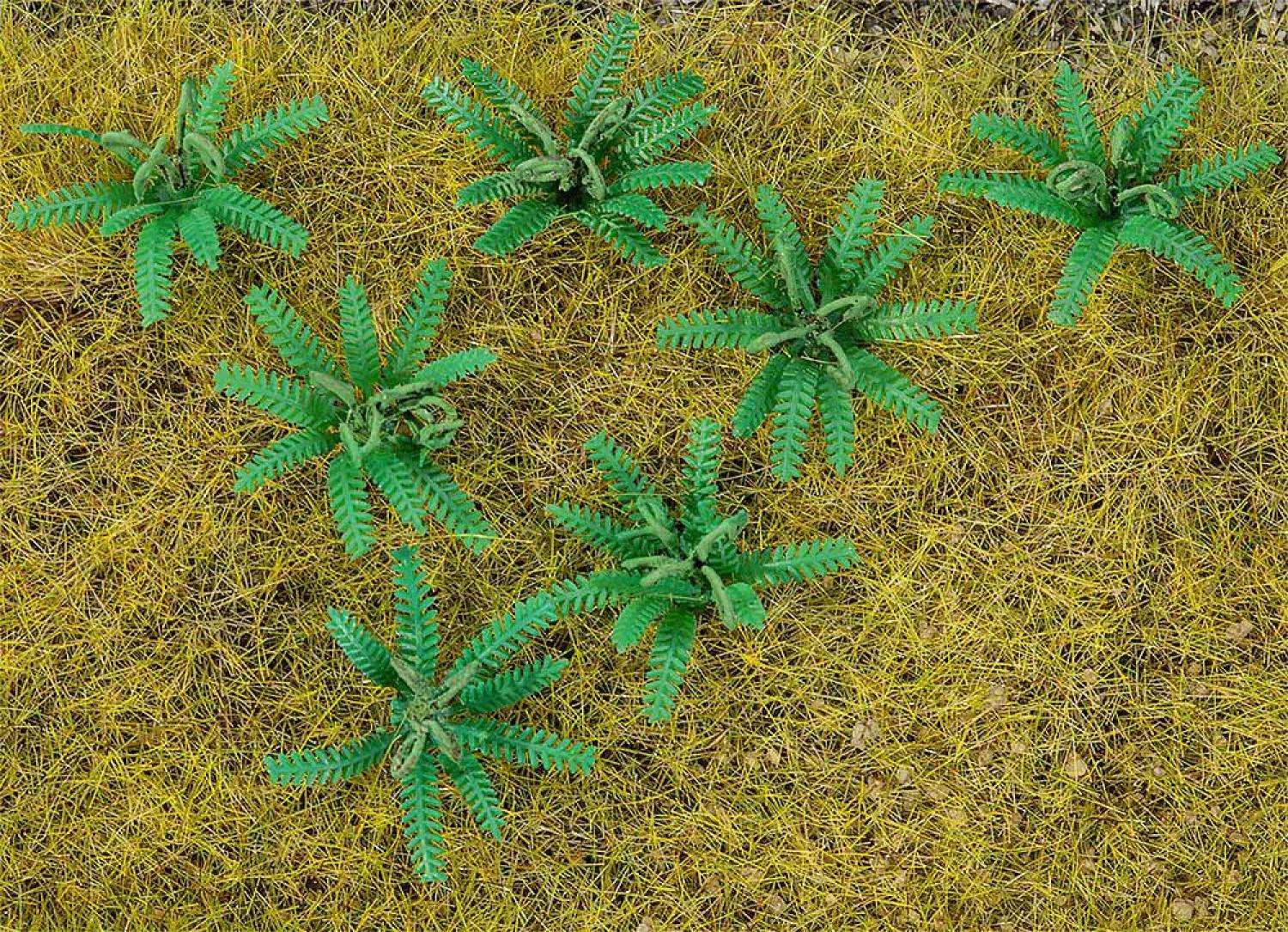 Faller 181274 12 Farnpflanzen