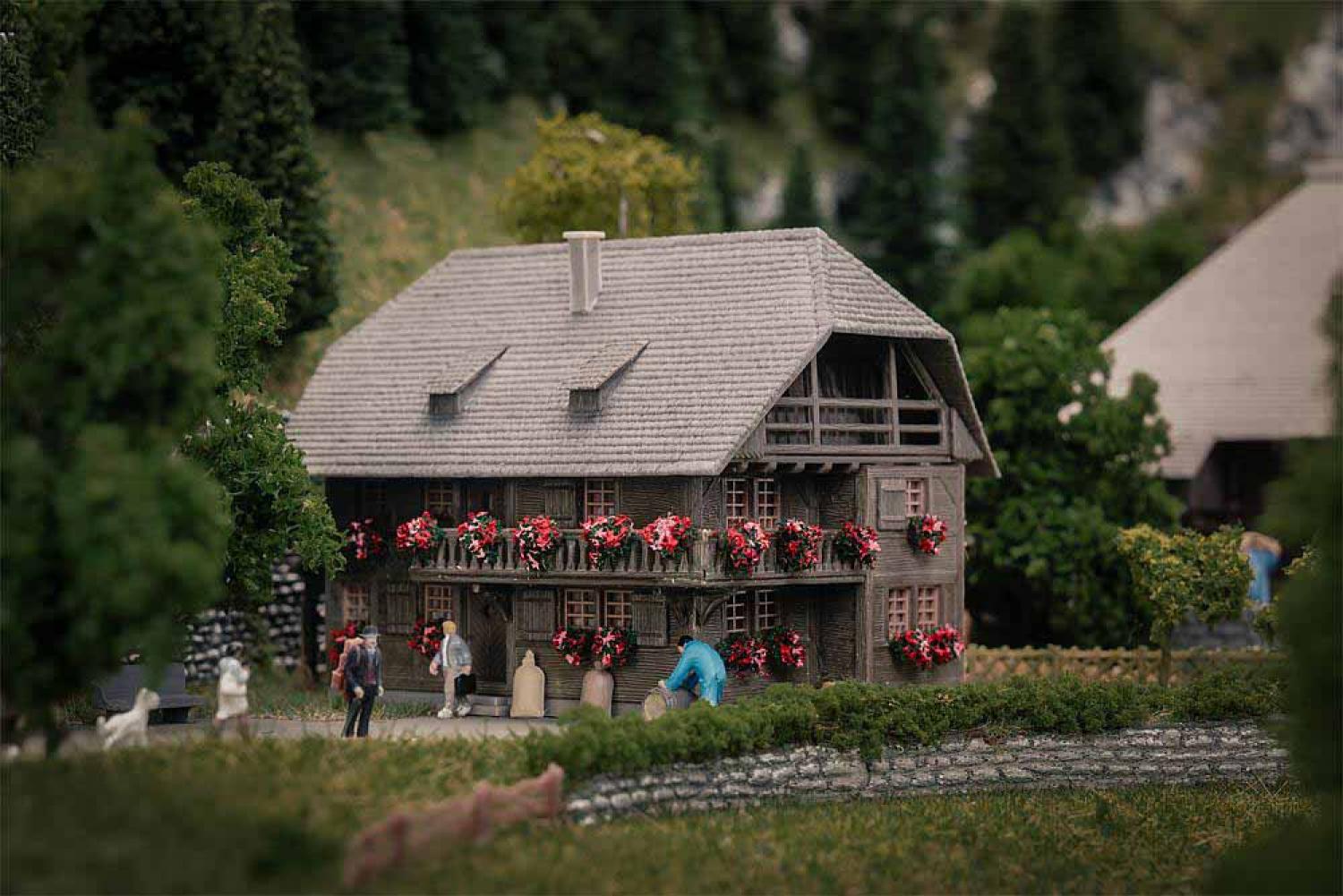 Faller 232011 Jubiläumsmodell Uhrenmacherhaus