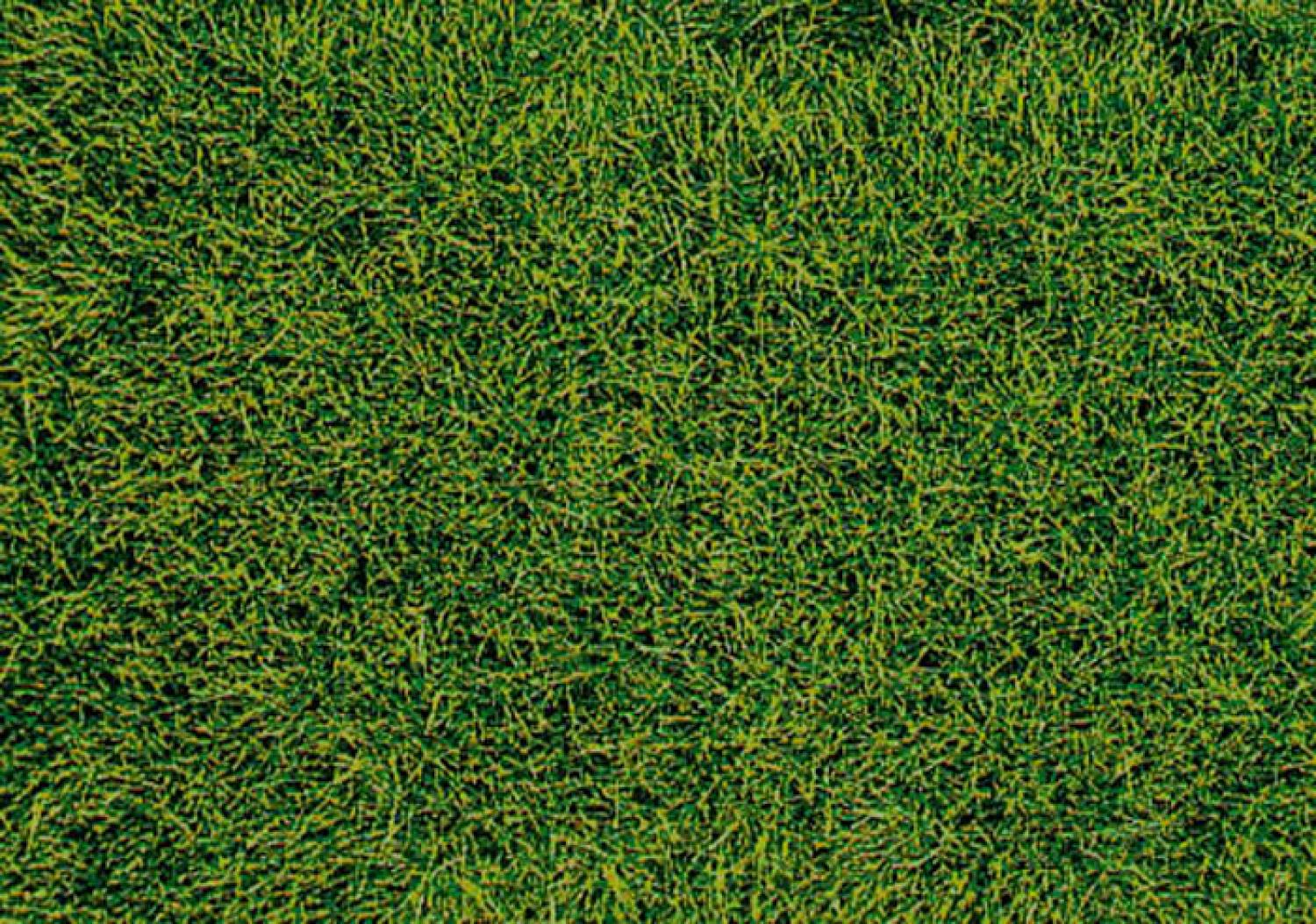 Heki 1573 Wildgras, Moorboden 28x14cm