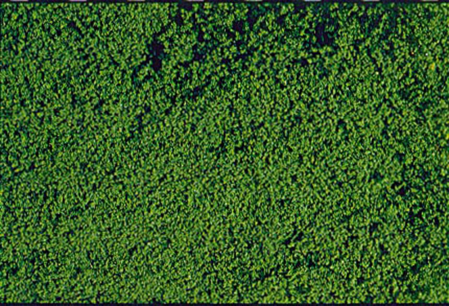 Heki 1612 mikrolaub Belaubungsflocken dunkelgrün 200ml