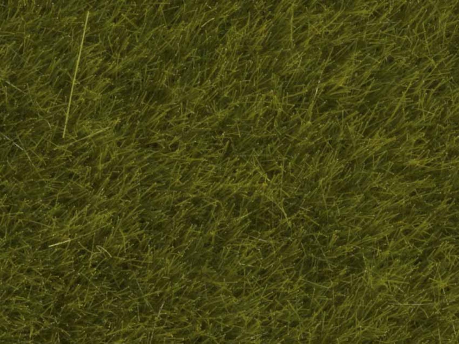Noch 07100 Wildgras “Wiese” 6 mm, 50 g