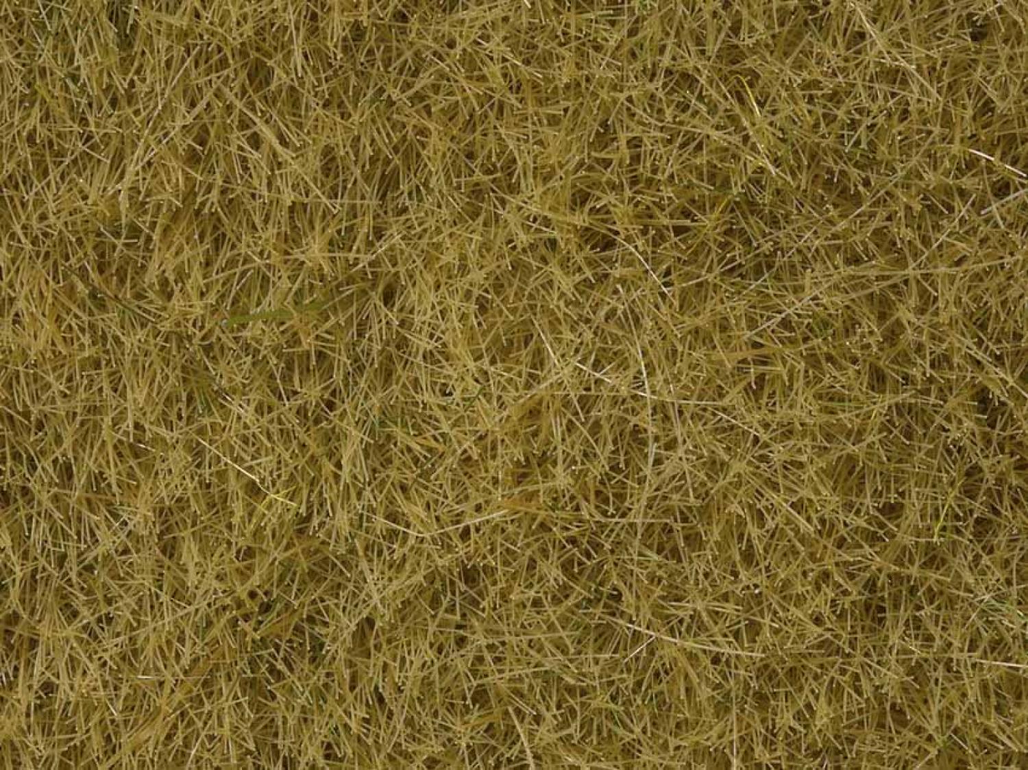 Noch 07101 Wildgras beige, 6 mm, 50 g