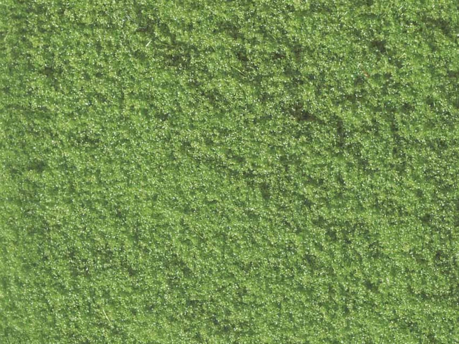 Noch 07241 Flockage hellgrün, 30 g