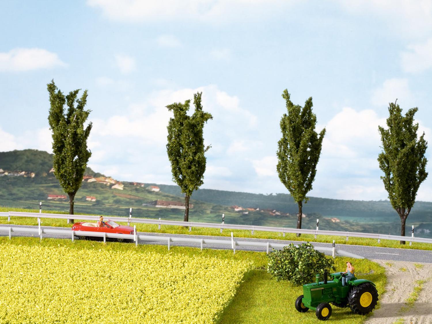 Noch 07420 Natur+ “Rapsfeld”