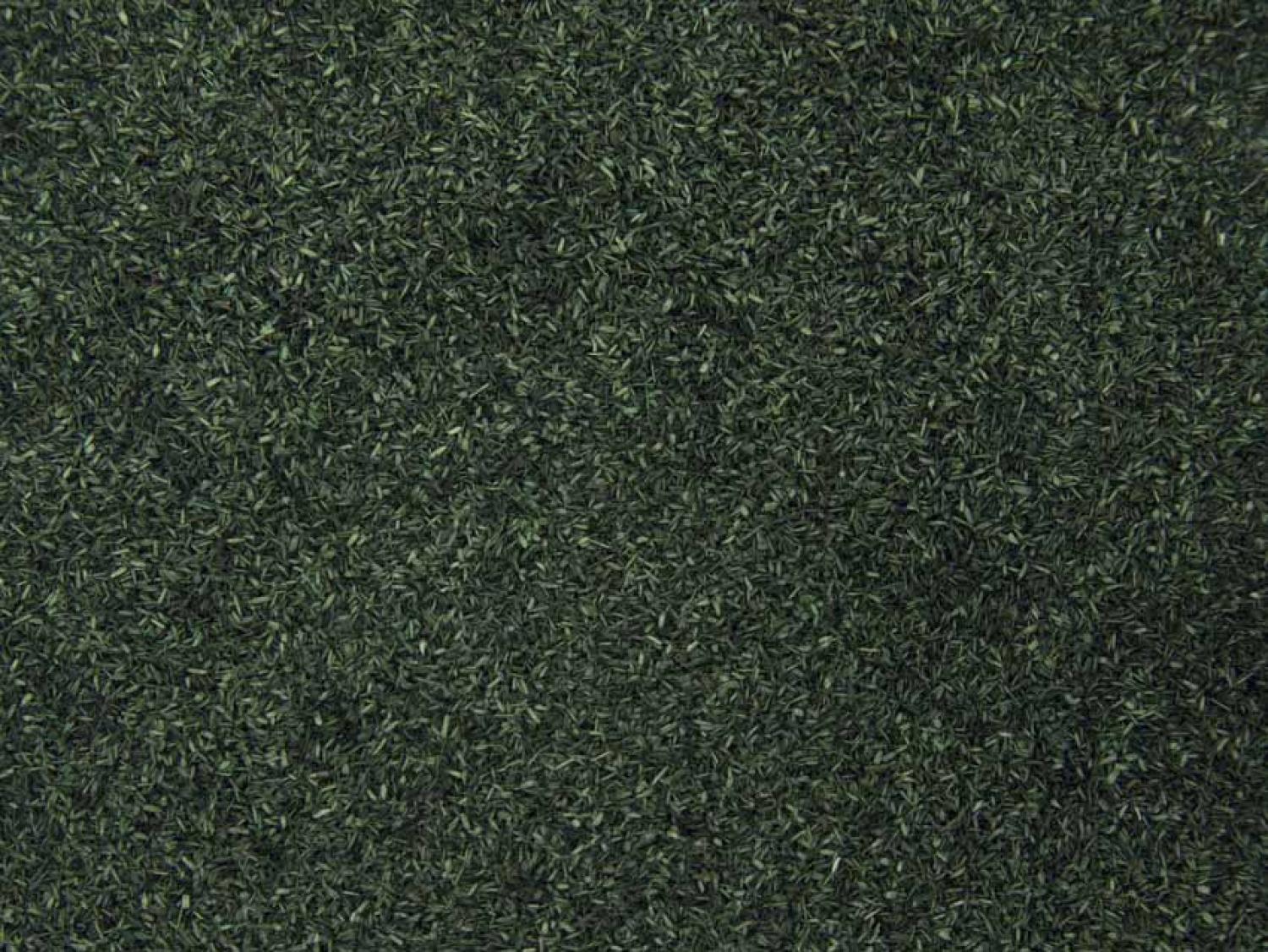 Noch 08376 Streumaterial  dunkelgrün, 200 g