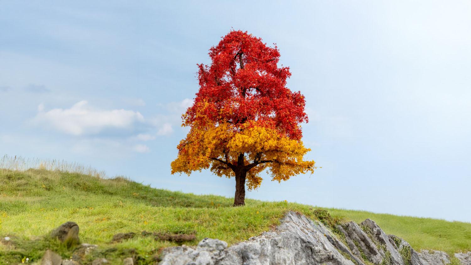 Noch 20114 Eiche, herbstlich 20 cm