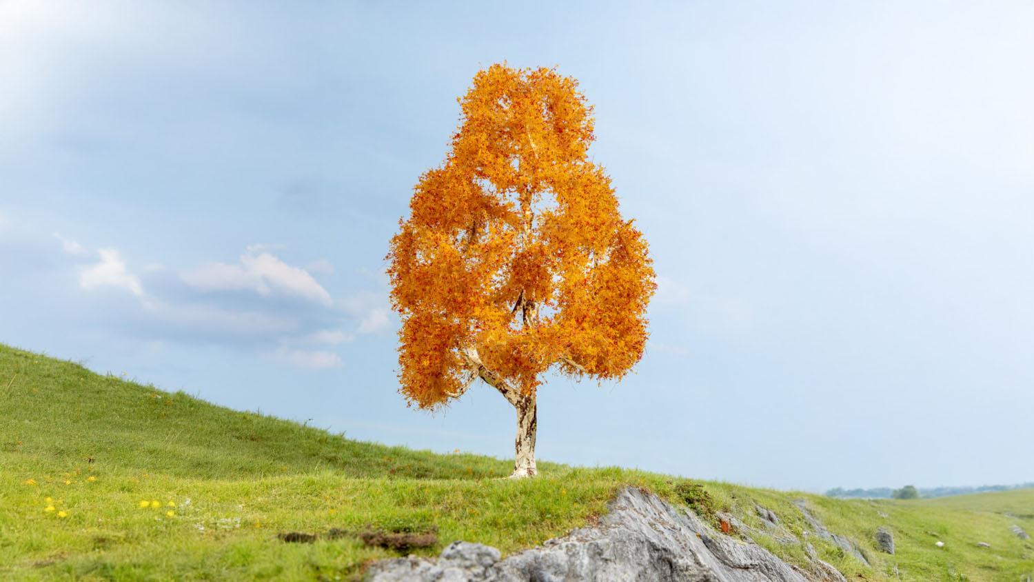 Noch 20129 Birke, herbstlich 21 cm