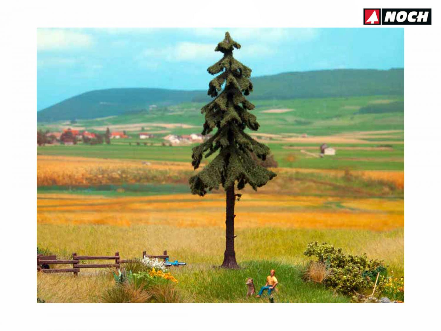 Noch 21924 Hochstamm-Wetterfichte 14,5 cm hoch