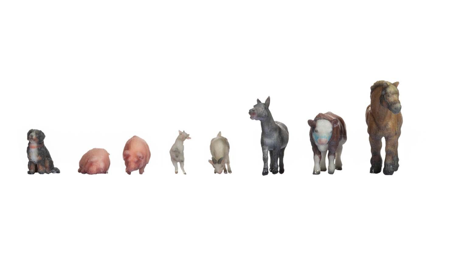 Noch 44705 Z Tiere auf dem Bauernhof