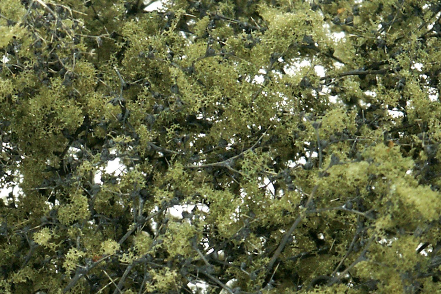 Woodland WF1133 Olive Green Fine Leaf Foliage