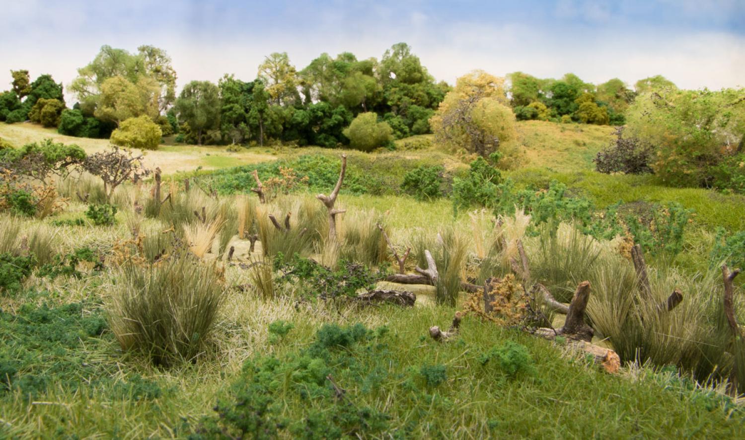 Woodland WFG174 Medium Green Field Grass