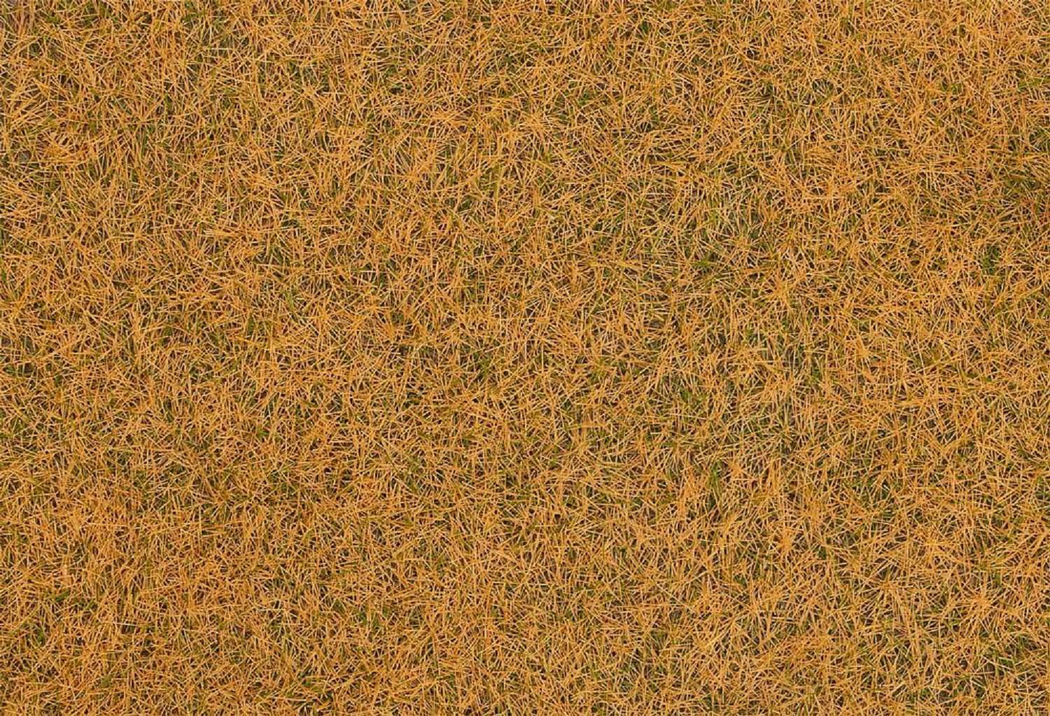 Faller 170210 Streufasern Wildgras, verdorrt, 4 mm, 30 g
