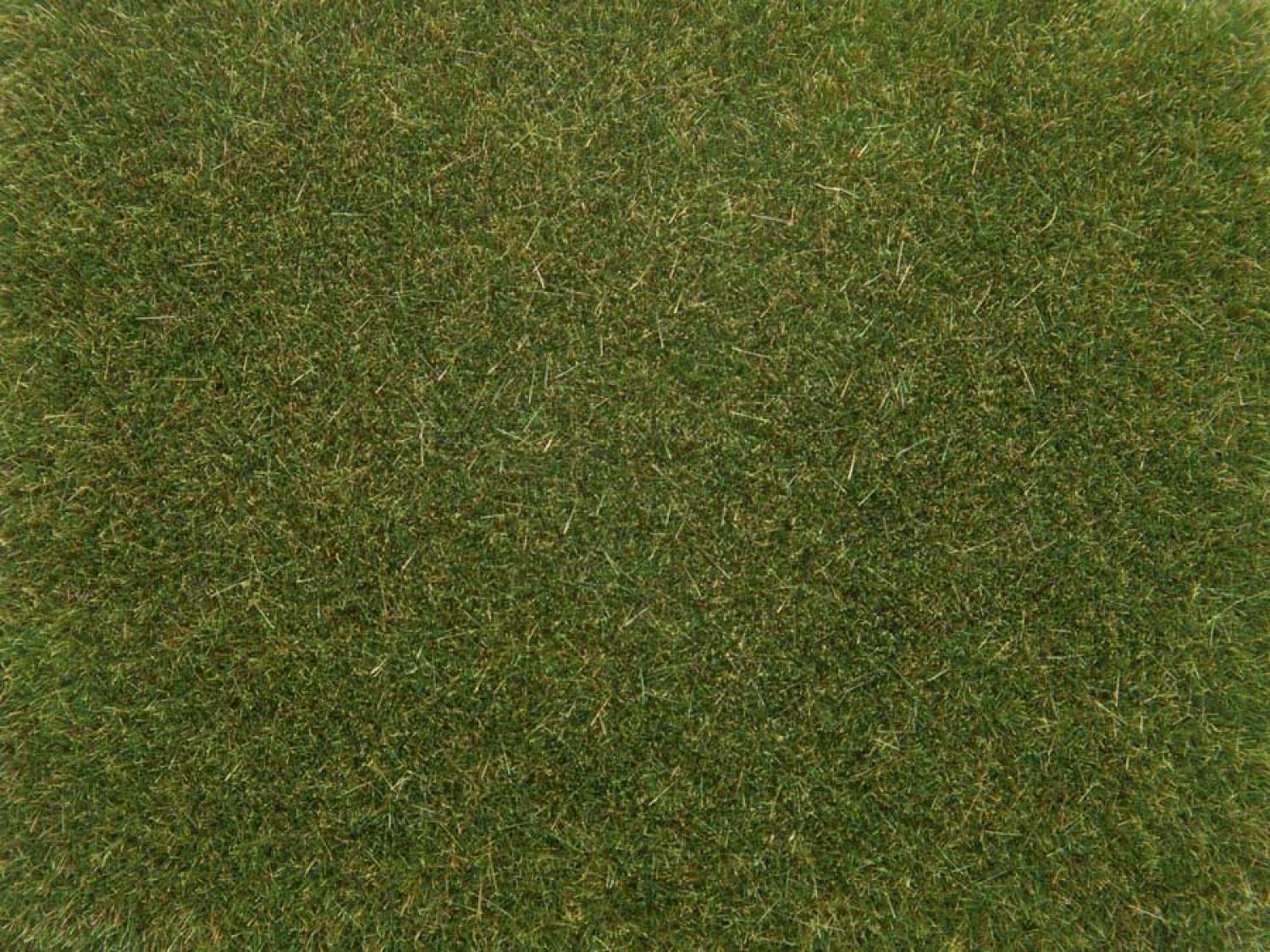 Noch 08364 Streugras mittelgrün, 4 mm, 20g