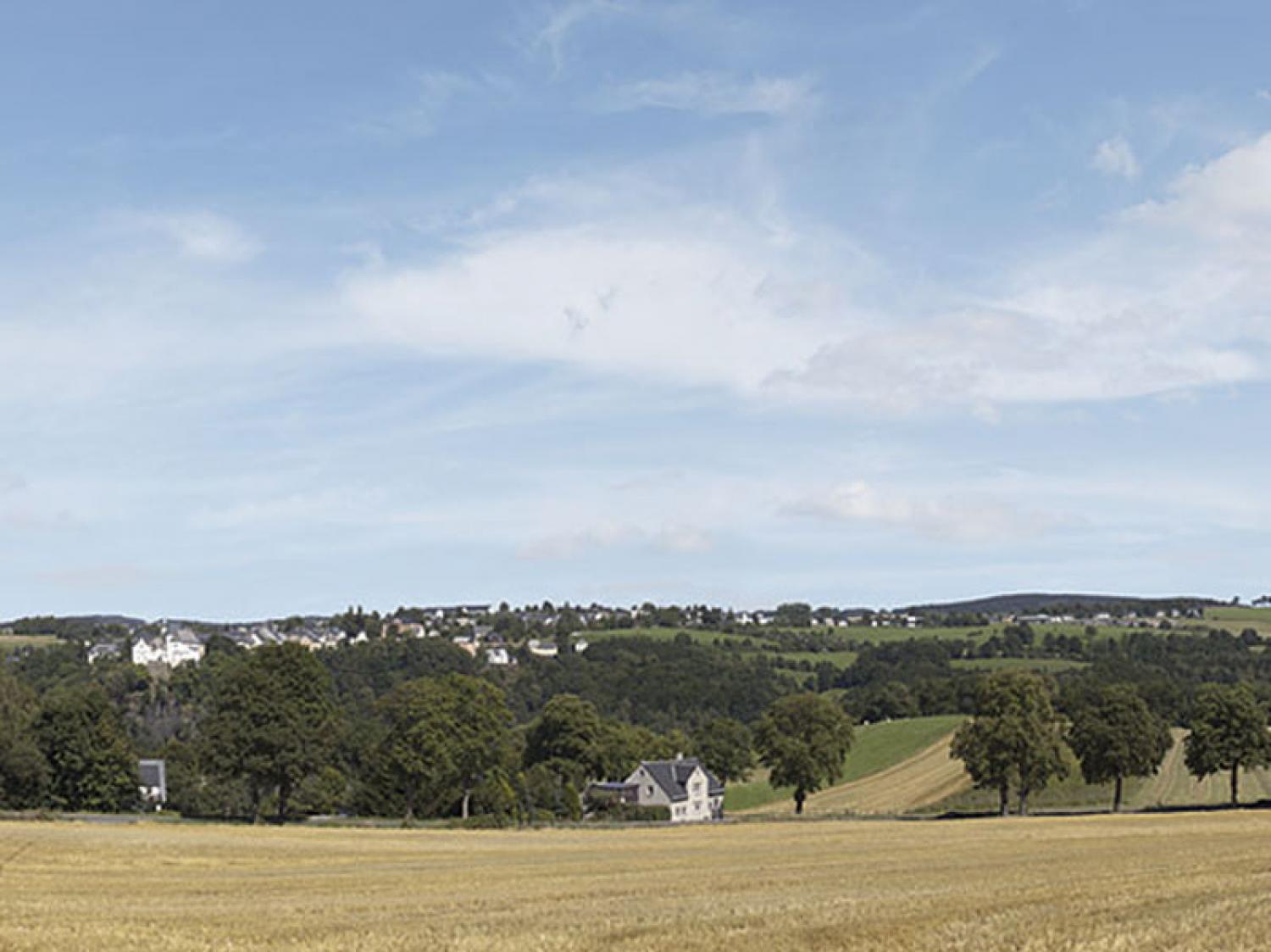 Auhagen 42513 Hintergrund Erzgebirge 1 H0/TT