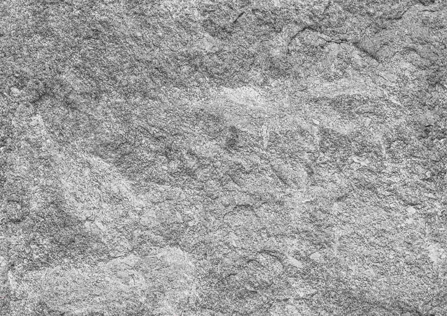 Faller171804 Felsfolie, hellgrau, 297x420mm