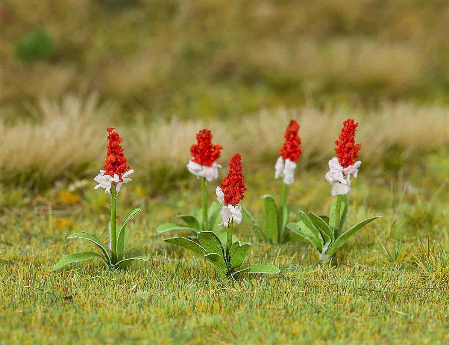 Faller 181267 32 Orchideenprimeln