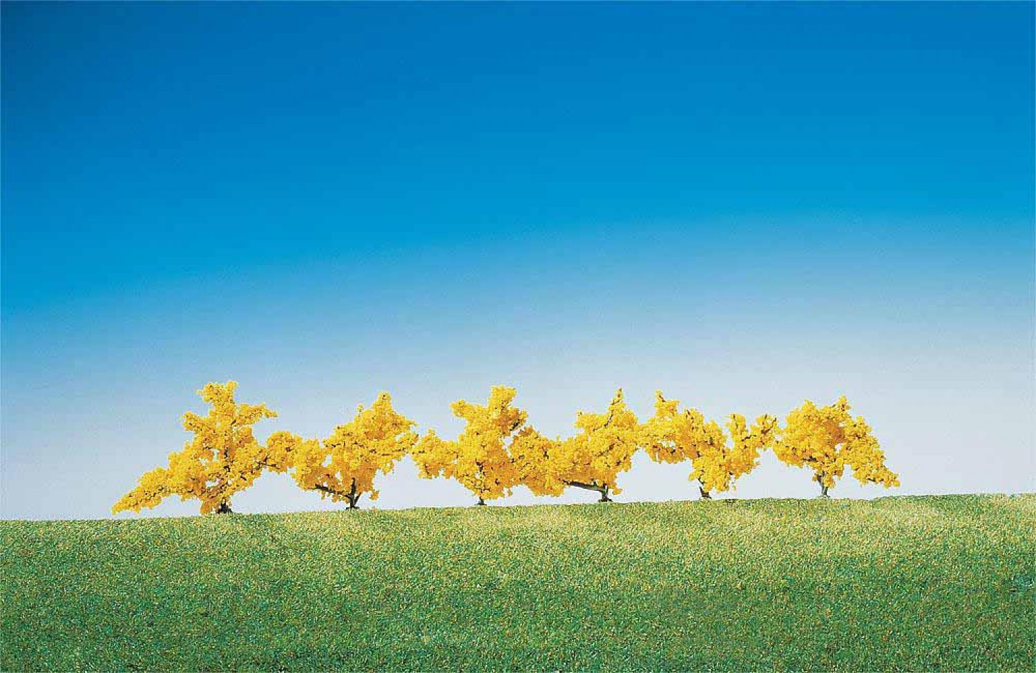 Faller 181475 6 Forsythien, gelb blühend