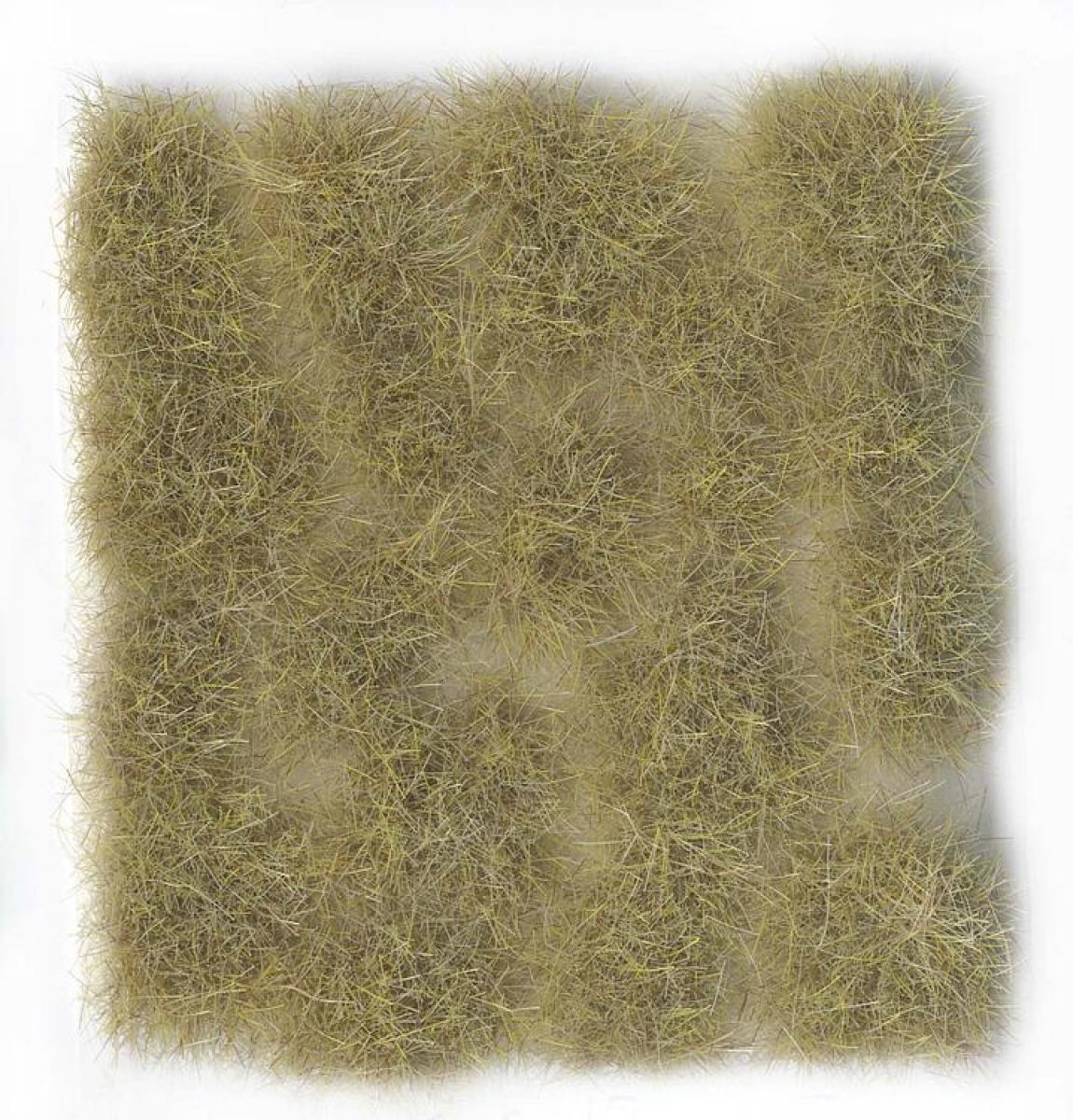 Vallejo 706274 Wild-Gras, beige, 12 mm