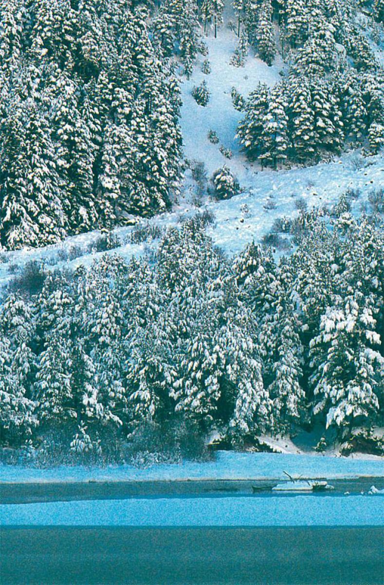 Vallejo 726231 Schaum & Schnee, 32 ml