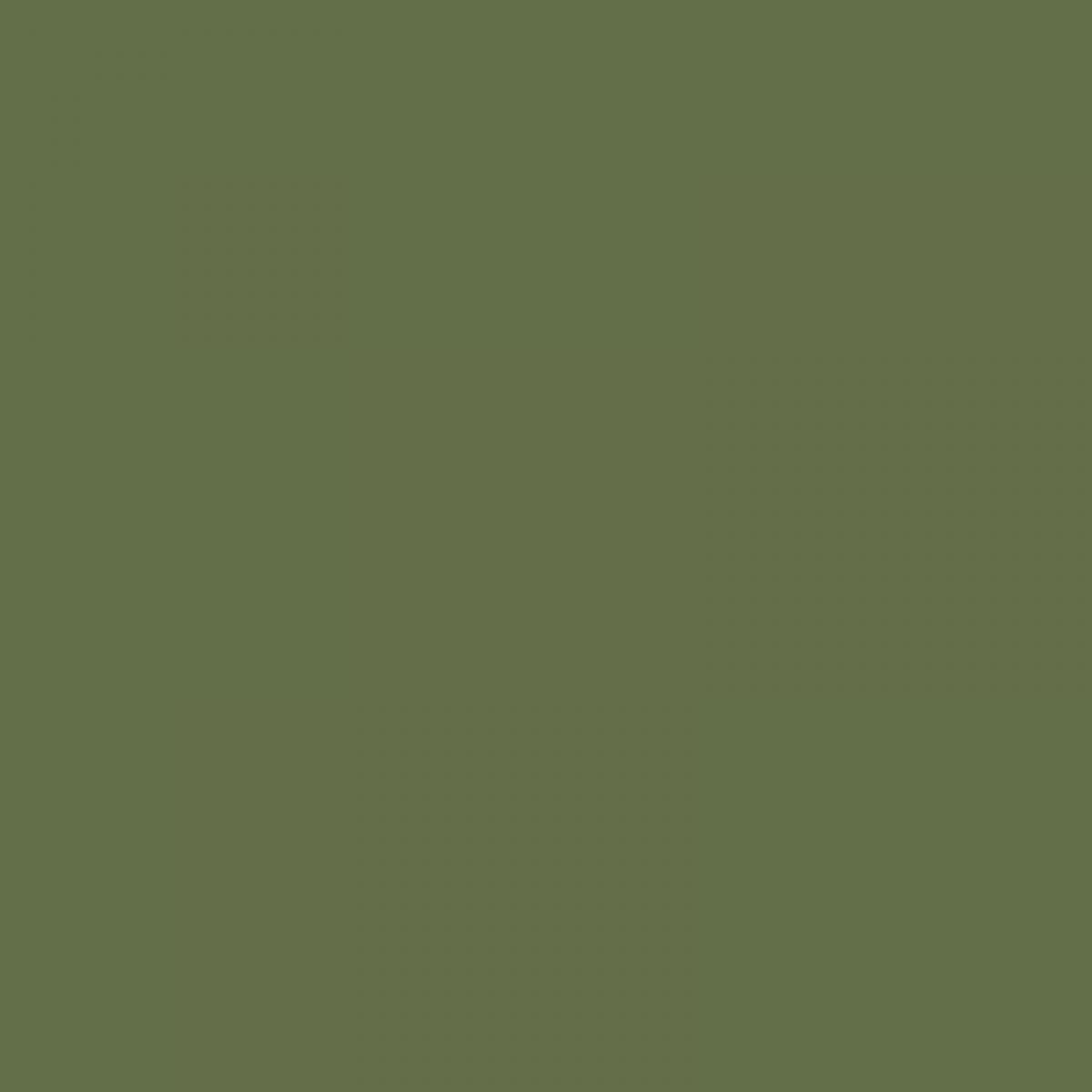 Vallejo 769028 Olive-Grün, 17 ml