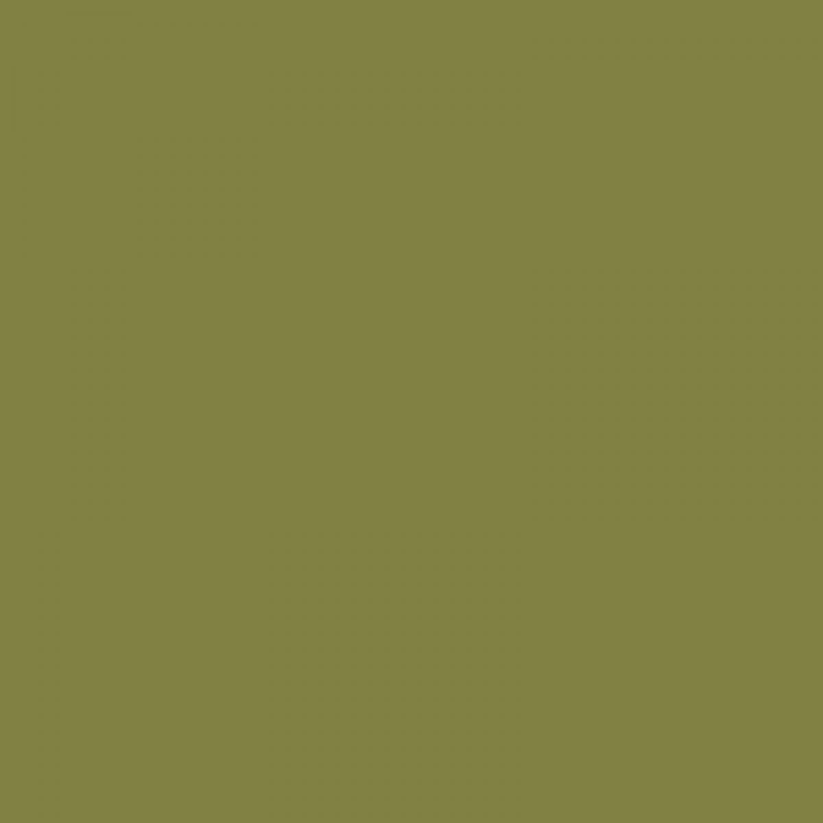 Vallejo 770857 Goldoliv, matt, 17 ml